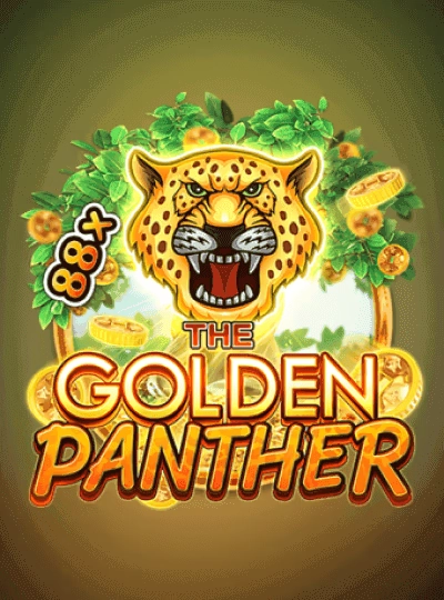 Dragon Tiger live game cover